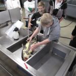 Den Stör durften die Teilnehmer selbst schlachten. Foto: Verein der Köche 1921 Fulda e. V.