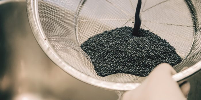 Kaviar ernten – eine einmalige Chance