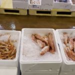 Damit alles schön frisch bleibt, ist die Fischhalle extrem gekühlt. Foto: VKD