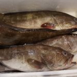 In der Fischhalle war die meiste Ware bereits verkauft. Foto: VKD