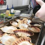 Impressionen der Talentschmiede 2018 des Landesverbands Baden-Württemberg. Foto: VKD