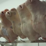 Vom Herz bis zum Kopf: In Rungis wir fast alles vom Rind verkauft. Foto: VKD