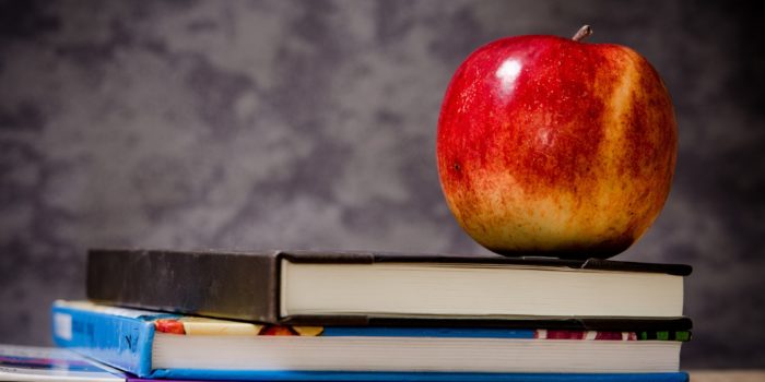 Besseres Schulessen muss nicht viel teurer sein