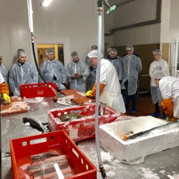 Besuch bei Cux Fisch Ditzer. Foto: Landesverband der Köche Niedersachsens