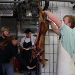 Auch ein Reh wurde zerlegt. Foto: Koch Club Kassel e. V.