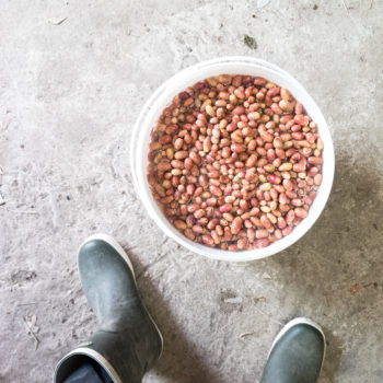 Foto: Nicolas Min Jørgensen