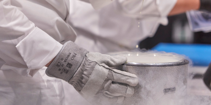 Trockeneis: Achtung, tödlich!