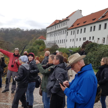 Ausflug mit allen: Für die Bamberger ging es beim gemeinsamen Vereinsausflug unter anderem nach Prag.