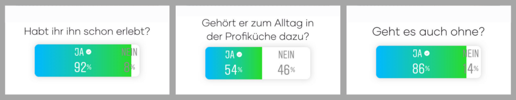 Ton In Der Küche Umfrageergebnisse (1)