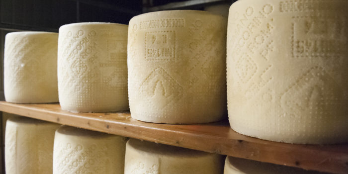 Kochwettbewerb für Käse-Kenner