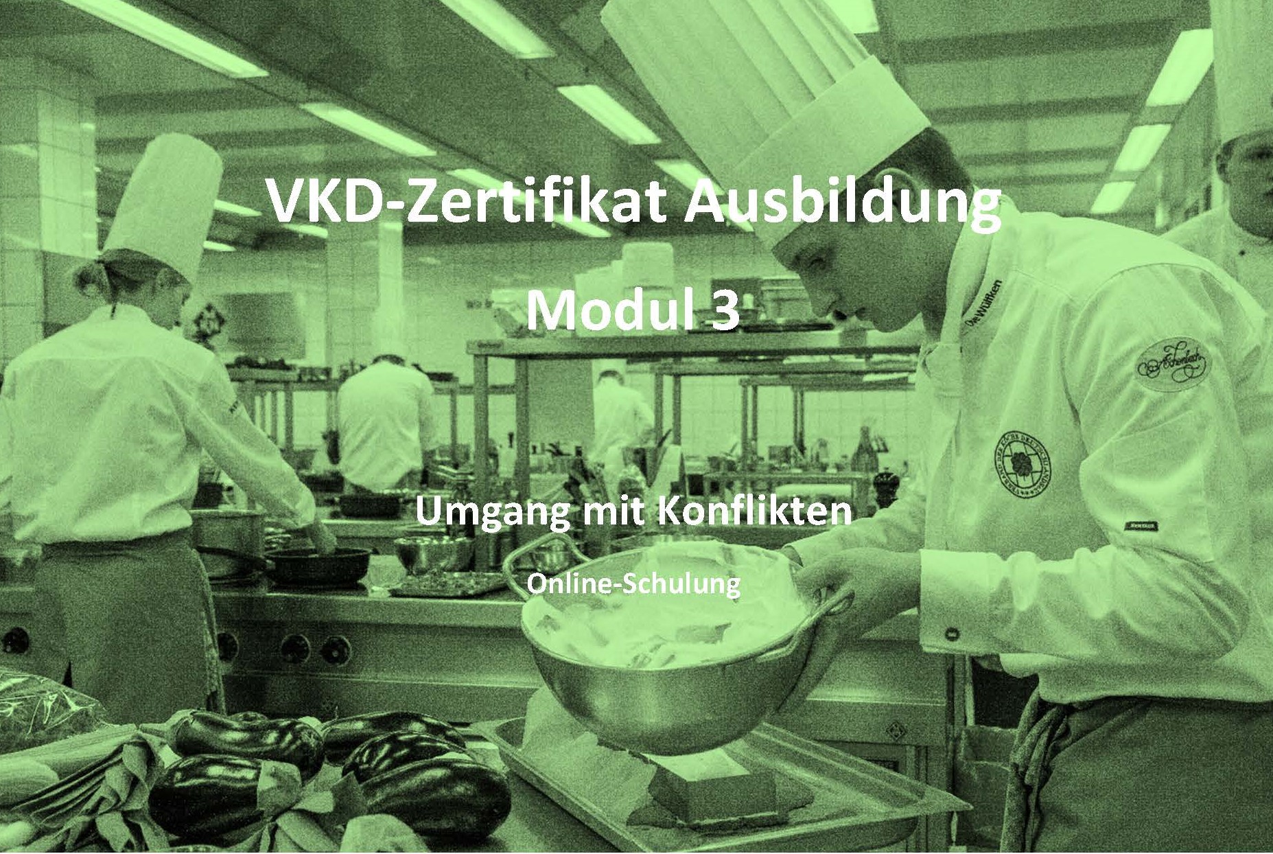 VKD-Zertifikat Ausbildung – Modul 3 – Umgang mit Konflikten – Online Schulung