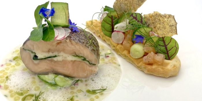 Online-Kreationen mit Lachsforelle