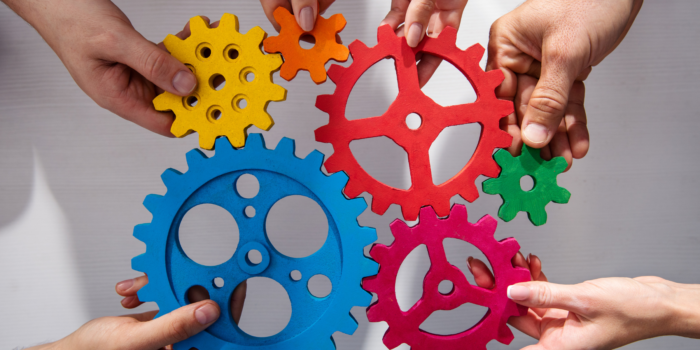 Ehrlichkeit, Teamgeist und eine klare Vision