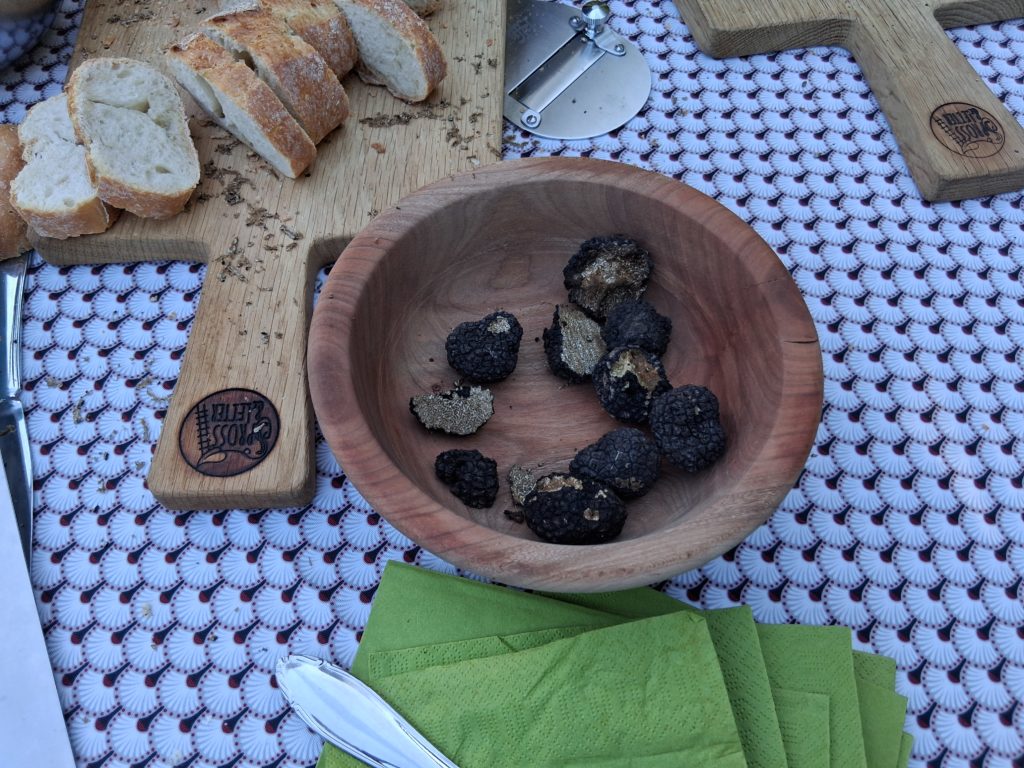 Erfolgreiche Trüffelsuche bei Osnabrück