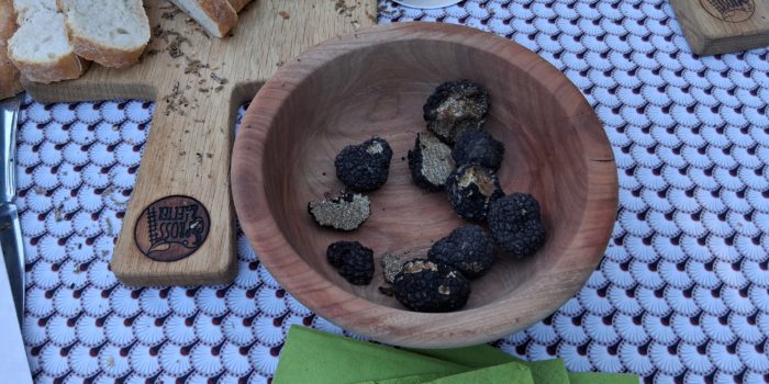 Erfolgreiche Trüffelsuche bei Osnabrück