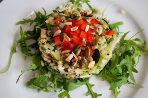 Chronisch-entzündliche Darmerkrankungen (CED) – Online Schulung