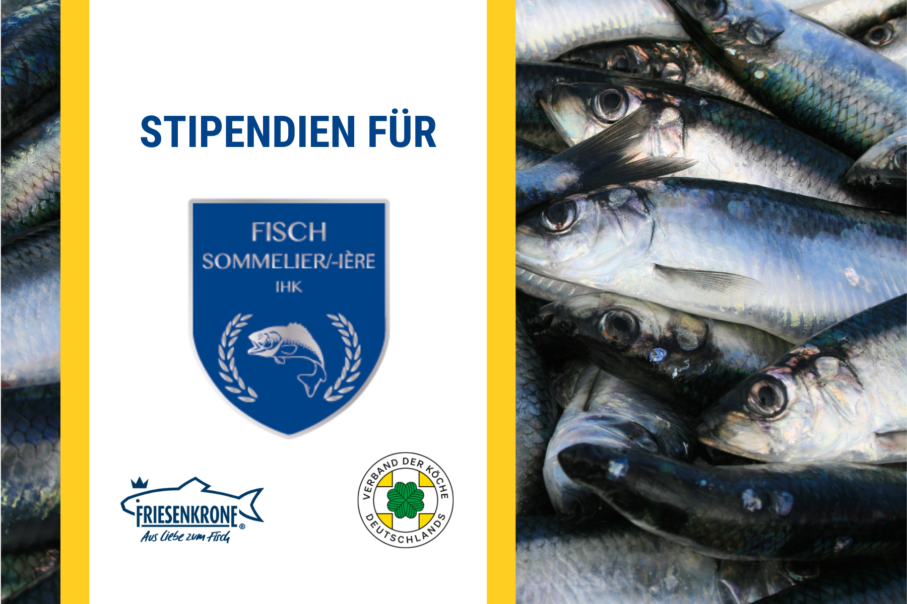 Friesenkrone vergibt Stipendien an insgesamt drei VKD-Mitglieder. Foto: Canva