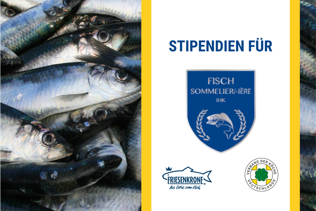 Nächster Karriereschritt: Fischsommelier – mit VKD und Friesenkrone