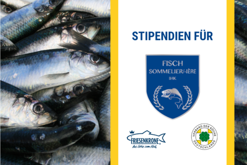 Nächster Karriereschritt: Fischsommelier – mit VKD und Friesenkrone